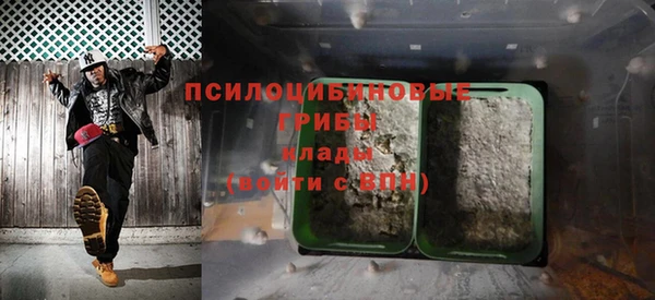 мет Арсеньев