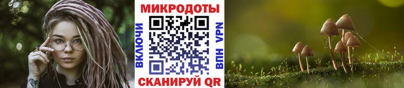 купить наркотик  Мамоново  Галлюциногенные грибы Psilocybe 